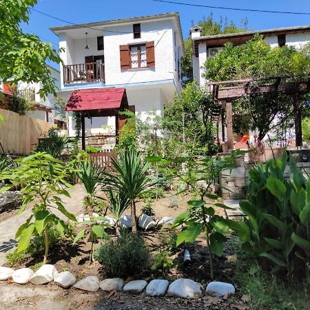 Flower House Χορευτό Εξωτερικό φωτογραφία