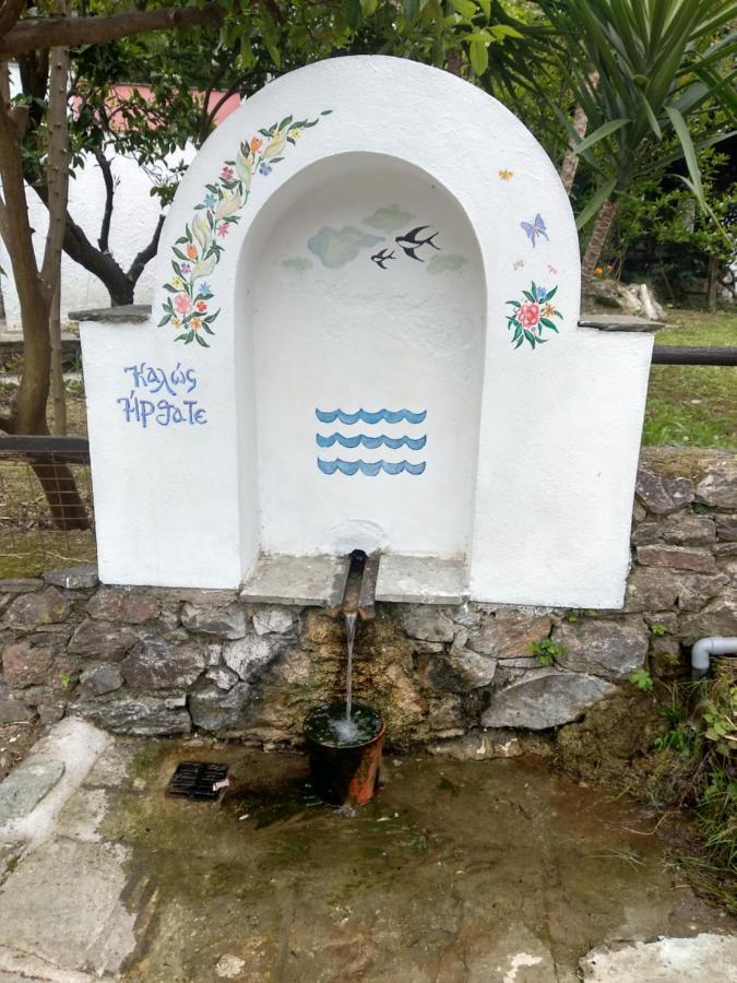 Flower House Χορευτό Εξωτερικό φωτογραφία
