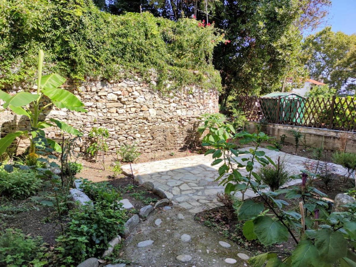 Flower House Χορευτό Εξωτερικό φωτογραφία