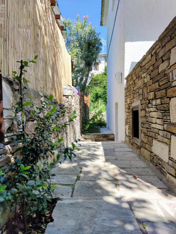 Flower House Χορευτό Εξωτερικό φωτογραφία