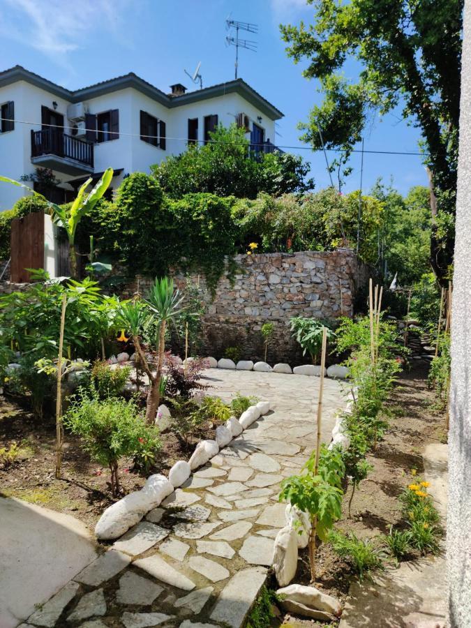 Flower House Χορευτό Εξωτερικό φωτογραφία